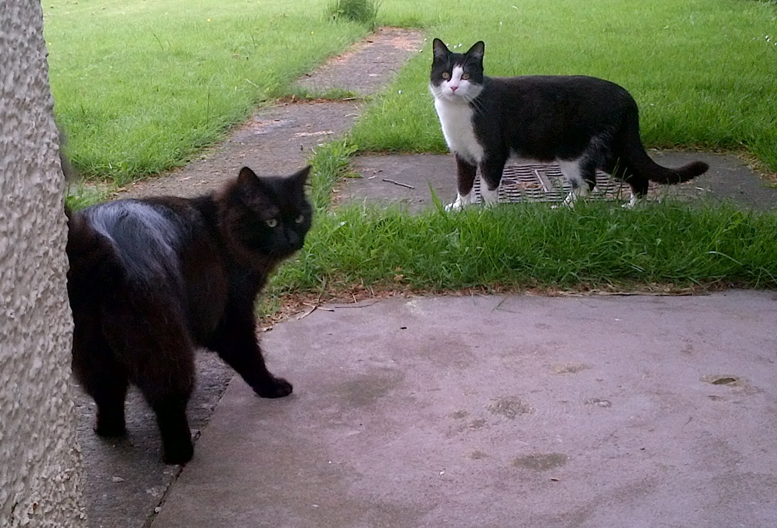 dougie-and-marvin