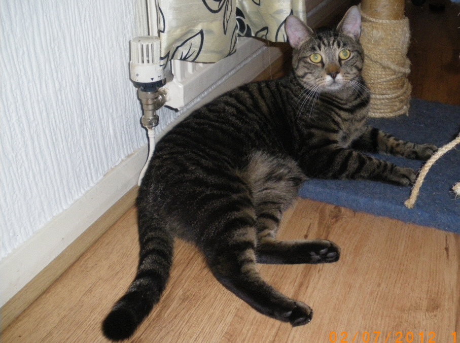zebedee